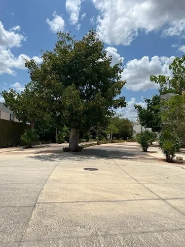 Casa(b) En Venta En Navita, Santa Gertrudis Copó.