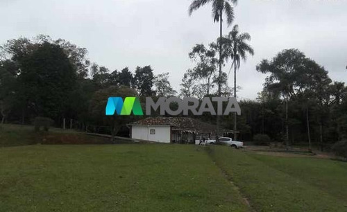 Imagem 14 de 15 de Fazenda - Zona Rural - Ref: 2827 - V-mta2827