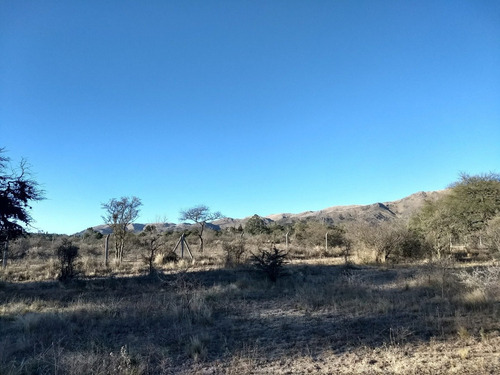 Imagen 13 de 30 de Terrenos En Las Sierras