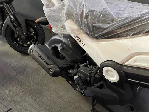 Imagen 9 de 16 de Honda Navi 110cc Maletera