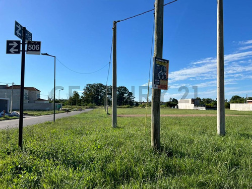 Lote En Gonnet * Barrio Don Alberto Lote En Esquina