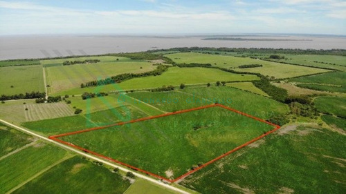 Imagen 6 de 8 de Martin Chico, Colonia - Campo Agricola A 20km De Carmelo