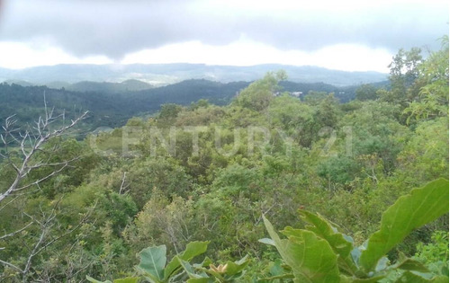 Terreno En Venta En  El Aguacatal  Comunidad San Jose Buena Vista San Cristobal