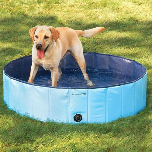 Piscina De Petpai Perro Perro Piscina Piscina Regalos De Est