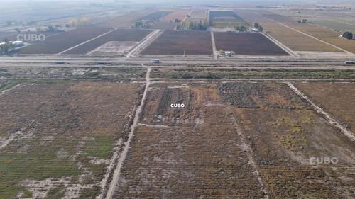 47 Hectareas De Campo Con Gran Frente En Ruta Nacional 40 (acceso Sur) Ugarteche Lujan De Cuyo