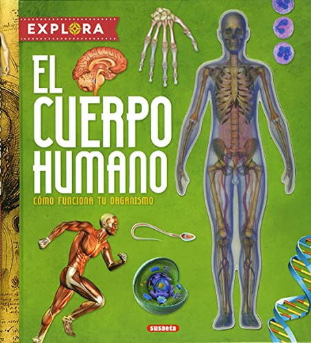 El cuerpo humano (Explora), de Montoro, Jorge. Editorial Susaeta, tapa pasta dura en español, 2018