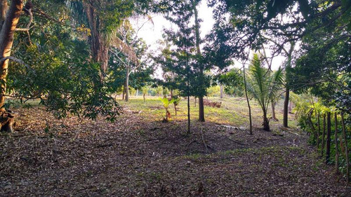 Venta Terreno 5000 M2 Frente Al Estero De Juana Moza Tuxpan Veracruz