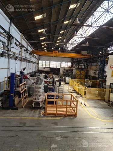 Imagen 9 de 15 de Nave Industrial - Villa Granaderos De San Martín