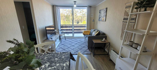 Departamento Amoblado (20742)
