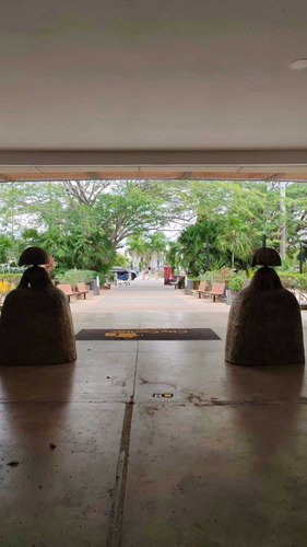 Terrazas De 350 M2 Para Isla