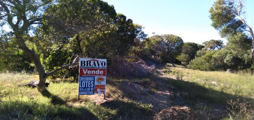 Imagen 3 de 5 de Lotes En Estrategica Zona De Crecimiento Al Norte Y A 300 Mts De Playa| Villa Gesell | En Venta