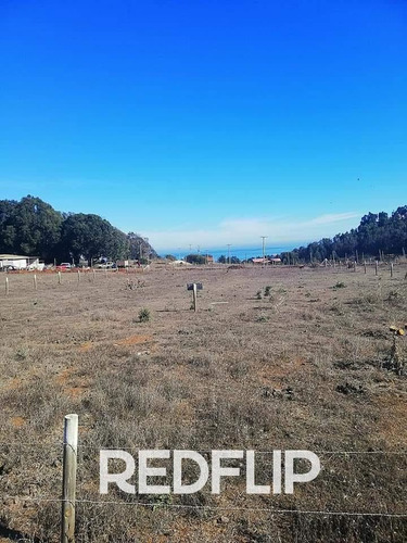 Sitio En Venta En Concón 1200m2 60millones