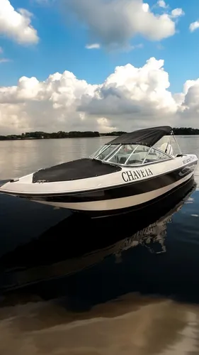 Lancha Map 480 2017 Evinrude 50 Etec