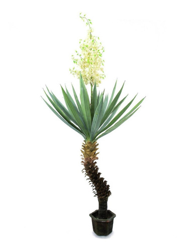 Plantas Y Árboles Artificiales Tipo Dracaena C/flor   2.50m