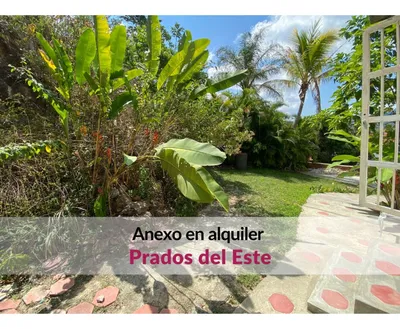 Apartamento en alquiler