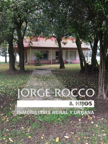Imagen 8 de 16 de 400 Has. Campo Ganadero - San Vicente -