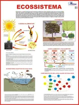 Comprar Mapa Gigante Sobre O Ecossistema - Teia E Cadeia Alimentar - Livro Para Estudos De Ecologia E Trabalhos Escolares - Medindo 120x90cm - Equipe Multivendas