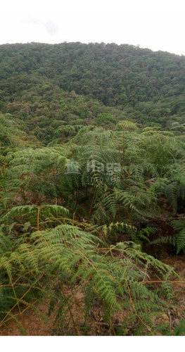 Imagem 12 de 14 de Chácara À Venda No Bairro Pomerânia - Guabiruba/sc - 2329c