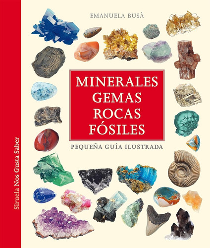 Minerales, Gemas, Rocas, Fósiles - Emanuela Busá