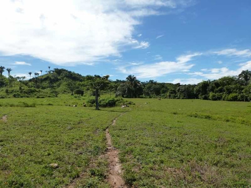 Imagen 8 de 9 de Finca En Venta En Santa Bárbara