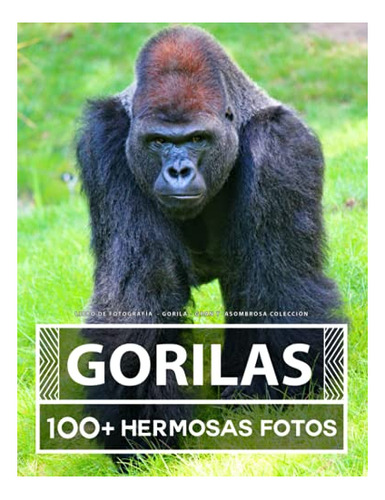 Libro De Fotografía - Gorila - Gran Y Asombrosa Colección: 1