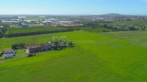 Imagen 10 de 21 de Venta Campo 11 Has Rincon Del Cerro Montevideo