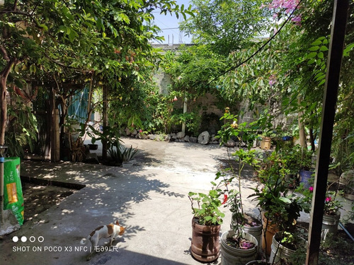 Gran Casa Amplia Con Jardin 2 Niveles Con Opcion A Ser 2 Departamentos Independientes