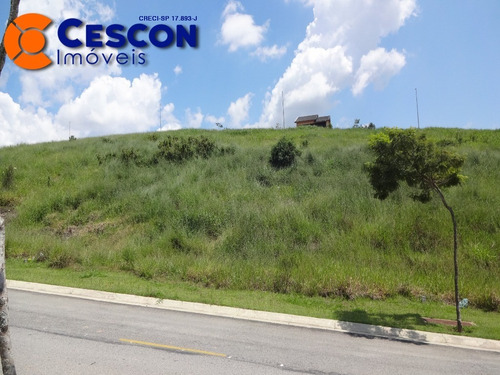 Imagem 3 de 4 de Terreno - Te00262 - 70285275