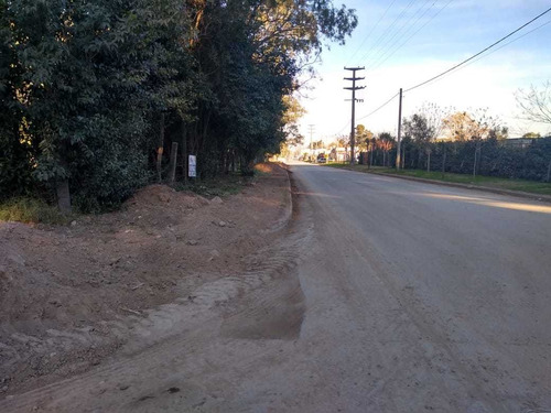 Imagen 4 de 8 de Venta - Terreno Zona Residencial - Navarro