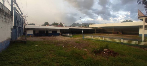 Imagen 3 de 8 de Terreno En San Diego