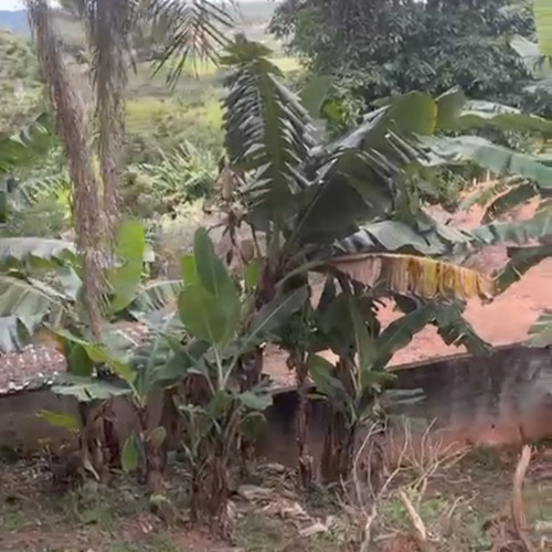 Terreno Com Mais De 1000m2 Área Valorizada A 5minutos Do Cen