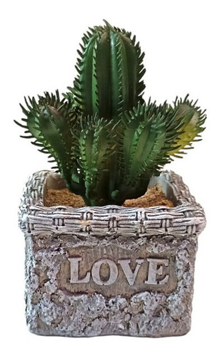 Adorno Euphorbia Polygona Base Love Plantas Artificiales
