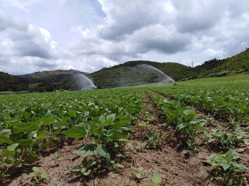 Imagen 3 de 20 de Finca En Carabobo Bejuma Aa