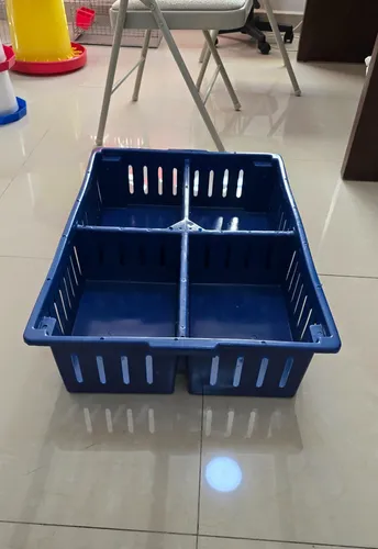 Cesta Para Trasportar Pollitos