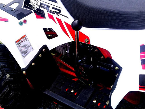 Cuatrimoto Polar 110 Motor 4t