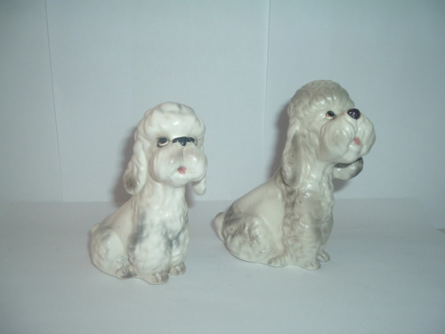 Perros Poodle De Coleccion De Origen Japones