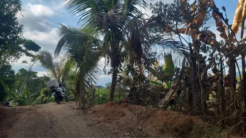 Terreno Em Ilhabela