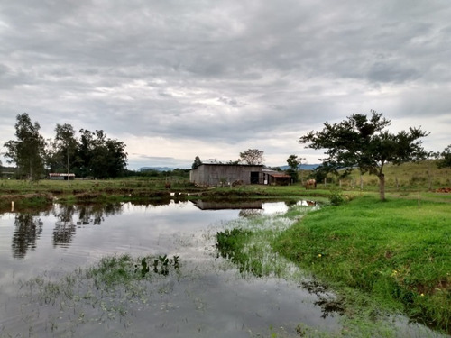 Chácara 20.000 M² - Passo Dos Pachecos - Glorinha - Rs - 2134 - 33951871