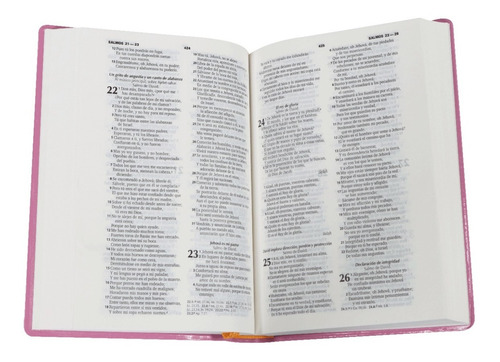 Imagen 3 de 3 de Biblia Reina-valera 1960 Chica Vinil Rosa Grabado Juvenil