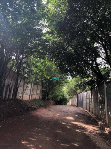 Imagem 9 de 9 de Terreno À Venda, 1100 M² Por R$ 265.000 - Morada Das Nascentes (joaquim Egídio) - Campinas/sp - Te0343