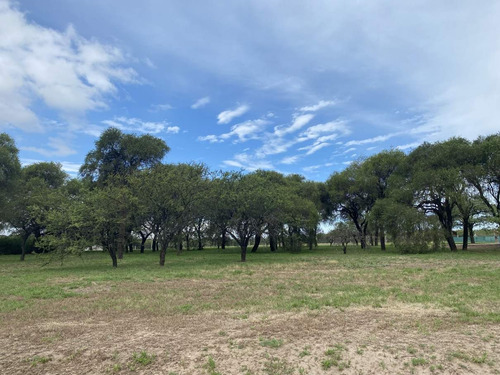 Imagen 11 de 12 de Lote En Venta 2420 M2 Fondo Golf - Potrerrillo De Larreta
