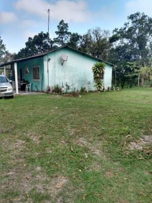 Imagem 9 de 9 de Chácara Com Piscina E Ótimo Jardim Em Itanhaém - 7184