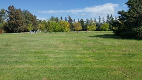 Imagen 5 de 14 de Terreno Lote En Venta Ubicado En Tortugas Country Club, Pilar, G.b.a. Zona Norte