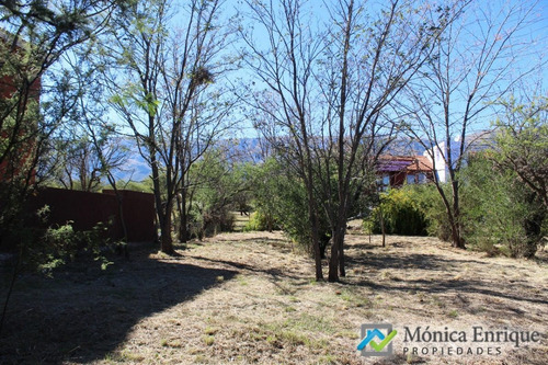Lote De 1500m2 En Cerro De Oro, Sobre Calle Cuesta De La Granadilla