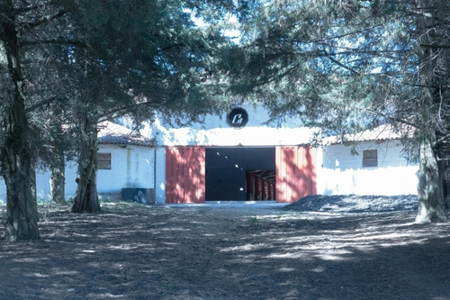 Imagen 4 de 14 de Excelente Rancho En Venta En Temascalcingo