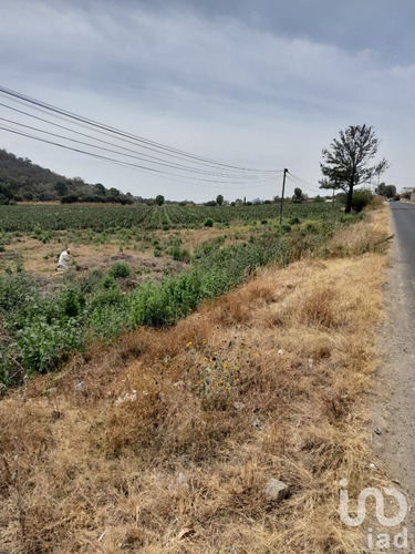 Venta Terreno 0 Ambiente Palestina