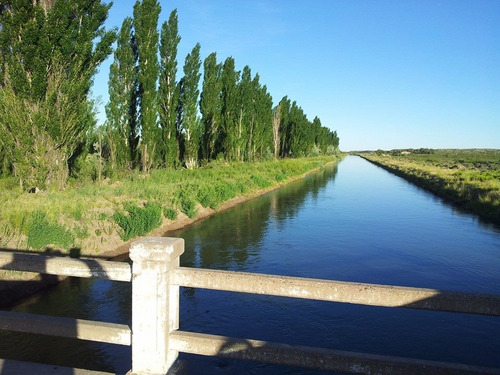 Vendo,   Permuto, Financio Campo Agricola  General   Conesa   Rio  Negro ,  Casa  , Galpon, Y Maquinaria   Listo   Para Producir