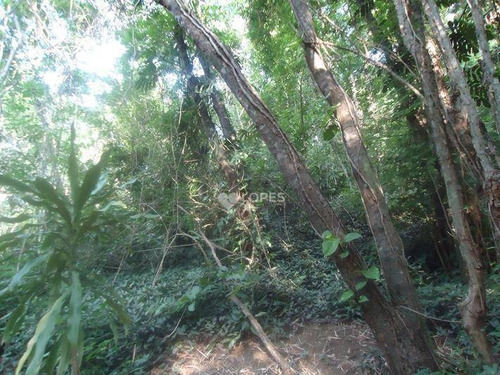Imagem 13 de 14 de Terreno À Venda, 1162 M² Por R$ 90.000,00 - Mata Paca - Niterói/rj - Te3155