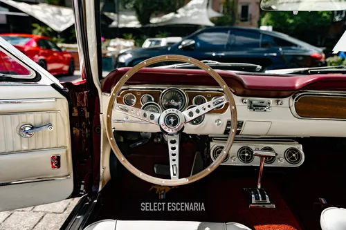 1965 Ford Mustang Gt Fastback