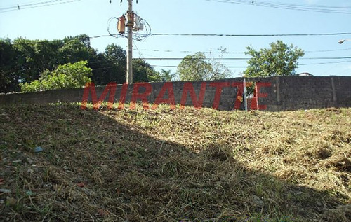 Imagem 5 de 8 de Terreno Em Tucuruvi - São Paulo, Sp - 85961